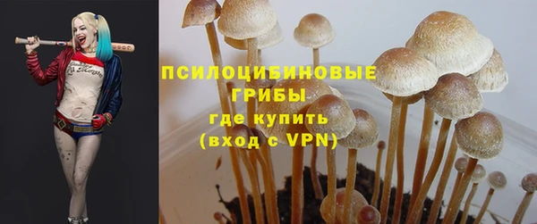 apvp Елизово