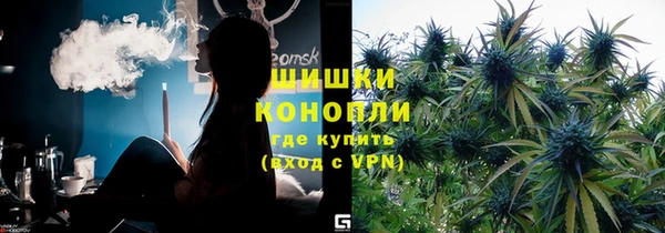 mdpv Ельня