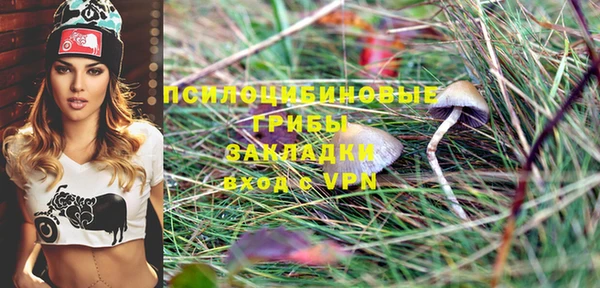 mdpv Ельня