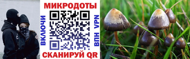 Галлюциногенные грибы мухоморы  Купить где  Карачев 